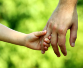 Seguros pensados para proteger tu tranquilidad